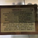 마포구청/망원동 숨은 로컬 맛집 &lt;6호선 닭한마리&gt; 물닭갈비 내돈내산