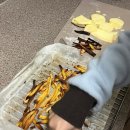 디오티디 아산멍멍이주유소 네이버블로그