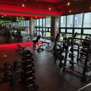 팀터틀랫 양산범어점 이미지