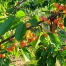 또박이농장 이미지