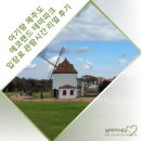 봉봉키즈 | 아기랑 제주여행 숲속기차여행 에코랜드 테마파크 리얼 후기