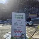 자작나무 | 인제 자작나무숲 겨울 방문 최신후기. 준비물 소요시간 정리!