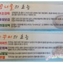 전주완산골 이미지