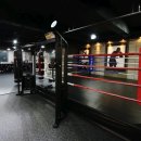 테리GYM 이미지