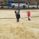 로하스로즈 펜션 이미지