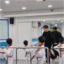고려대한태권도 | 처음 성인태권도를 선택할 때, 이 점은 꼭 확인하세요: 실수 없는 도장 선택법