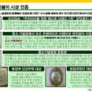 이지코퍼레이션