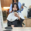 풀로진 이미지
