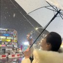 구디구디 이미지