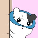 바이컴퍼니 이미지