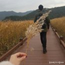 주)우리들여행 이미지