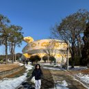 불갑저수지제당공원 | [함평 가볼 만한 곳] 뱀 건물 정체는? 함평양서파충류생태공원 아이와 다녀온 솔직 후기