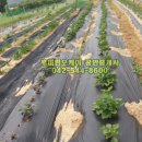 성준농장 이미지