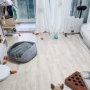 프로네앞마당 이미지