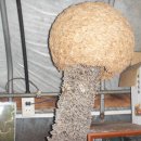 삼생1리 이미지