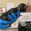 엄마와 아기곰 이미지