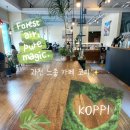 과천중앙빌딩 | 과천 대형카페 분위기 좋은 케이오피피아이 방문후기 과천 스콘 맛집 발견