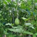 민지세탁소 이미지