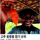 (주)고추나라 이미지
