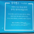 참치뱅크 이미지
