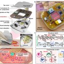 고려대학교 KU-KIST융합대학원 이미지