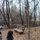 동백유치원 이미지