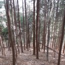 위드미진주봉곡사거리점 | 낙남정맥 보충산행 서북산 : 산길이 너무 달라졌다 (한치 (진고개휴게소) ~ 대부산 ~ 감재고개 ~ 서북산)