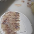 돌돔이회포장
