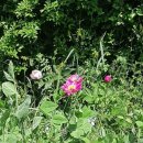 상국농장 이미지