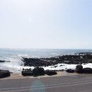 태신해안로 이미지