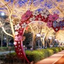 온천중앙로 이미지