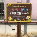 백산초병설유치원 이미지