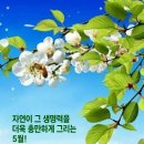 산대로 이미지