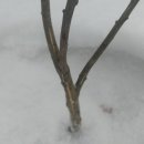 기승농장 이미지