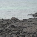 마루치과기공소 이미지