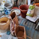 율리농장 이미지