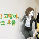 나만고양이없어 이미지