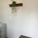 컴페니언바이주문진 이미지