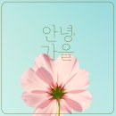 매쓰플랜수학상현학원
