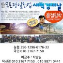 묘산주유소 Daum카페