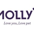 몰리스펫샵 센텀 이미지