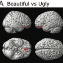 과학이야기2 이미지