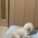 맥큐브(주) | 흥청망청 돈 쓰니까 재밋당