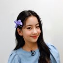 토탈셋 이미지