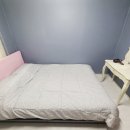 포시즌밸리계곡애견펜션 이미지