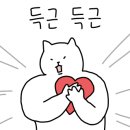 헬스를 배우다! 포비스클럽 이미지