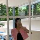 미니레브 이미지