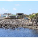 소남머리 이미지