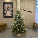 소담동 한국개발연구원 앞 | [세종 맛집] 금남면/소담동/보람동 칼로리스테이션(토마토쉬림프파스타, 차돌박이필라프) 후기