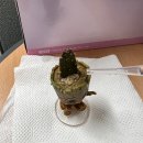 태란상사 | 코스트코김해점 후기와 야무지게 먹은 2주!